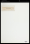 Cosmarium plicatum
