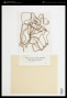 Nemalion lubricum Duby