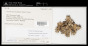 Parmotrema subisidiosum (Müll.Arg.) Hale