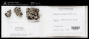 Hypotrachyna osseoalba (Vain.) Y.S.Park & Hale