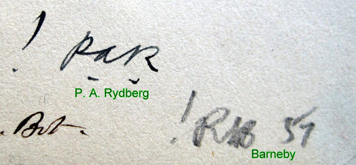 Blc Rydberg Barneby IMG 1659.jpg
