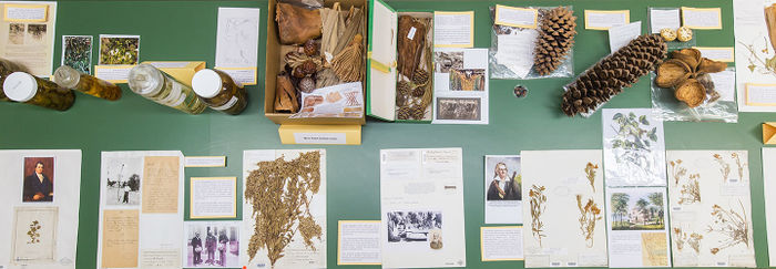 Herbarium Open House layout.jpg