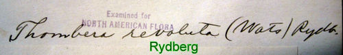 Blc Rydberg IMG 1637.jpg